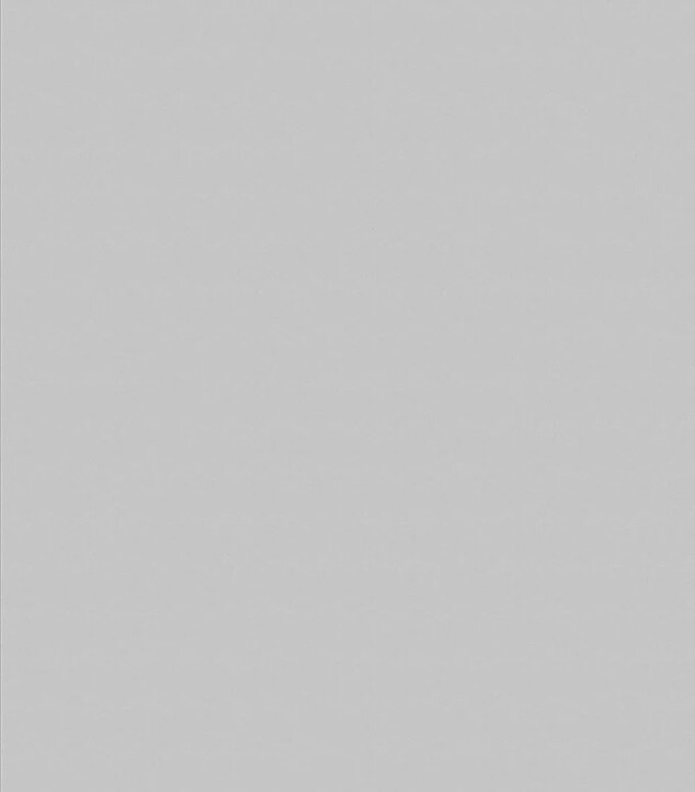 ДСП ламінована 2800х2070х16 мм попелястий